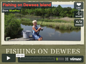 fishing-on-dewees-island Fishing on Dewees Island
